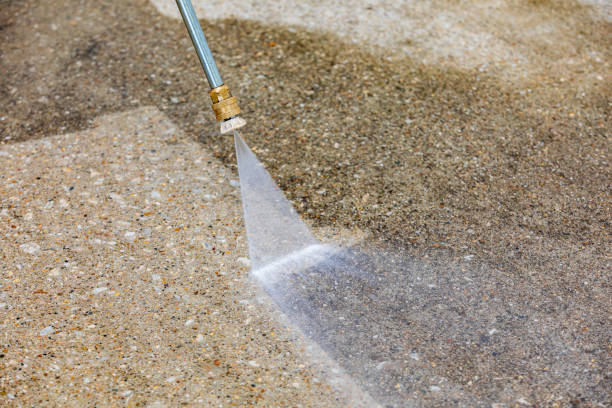 Best House Exterior Washing  in Centreville, MI